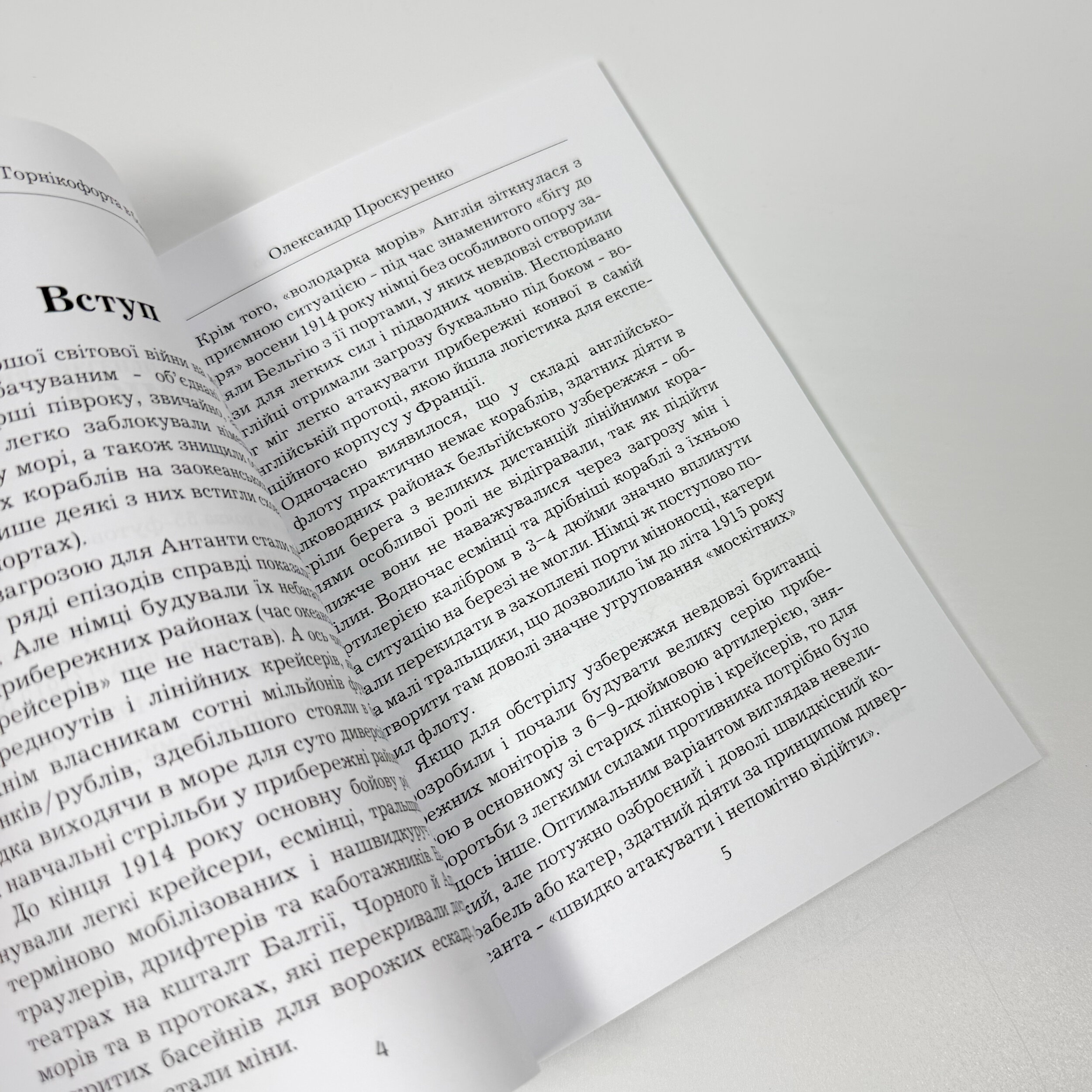 Катери Торнікофорта в бою. Автор — Олександр Проскуренко. 